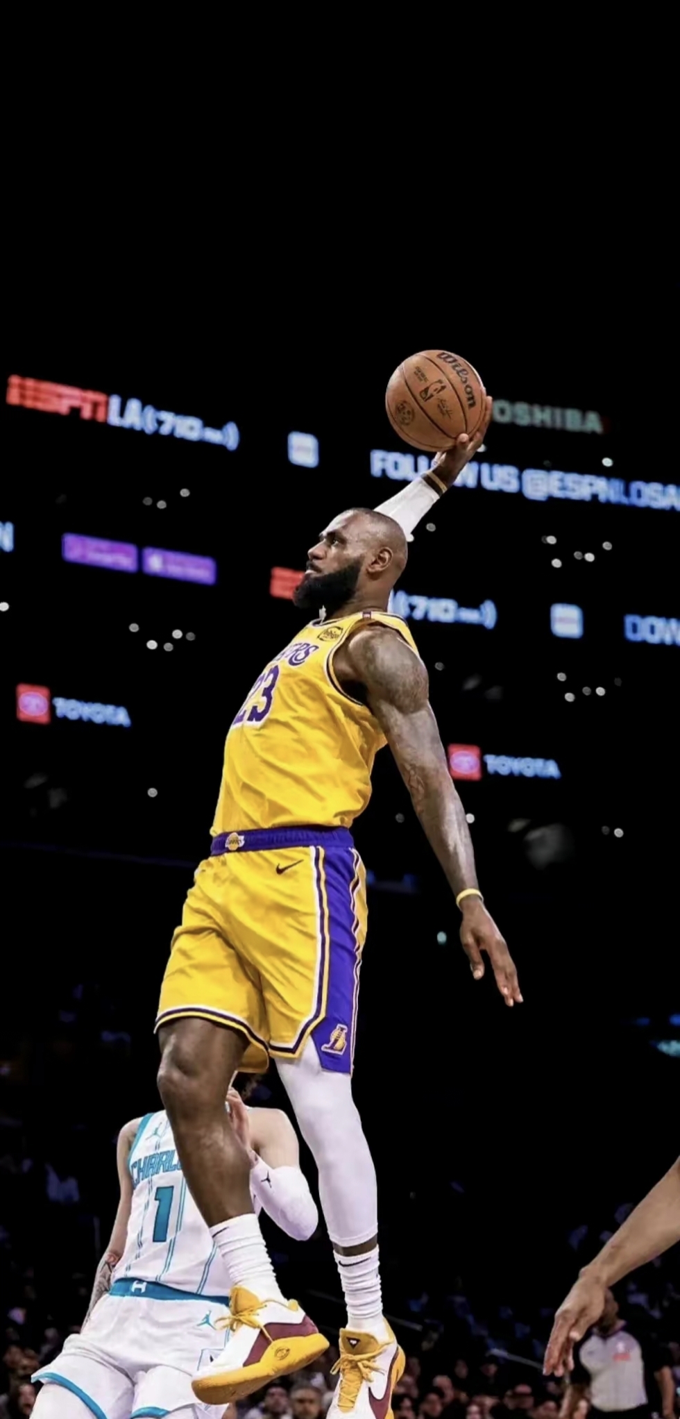 不在数量 不在数量